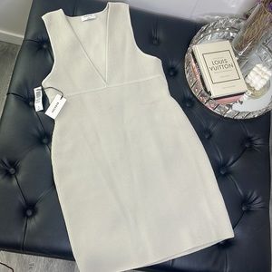 Babaton Rib Knit Sculpt Dress